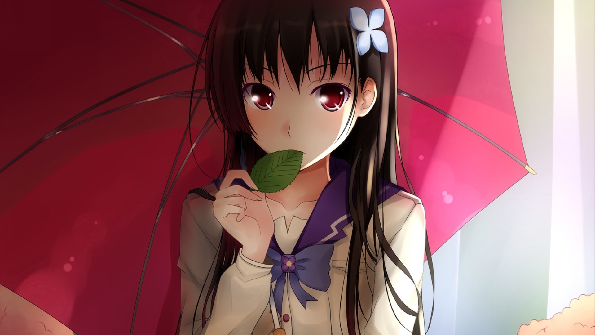 cover of next post